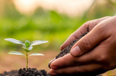 ZB Sustainability Certificate