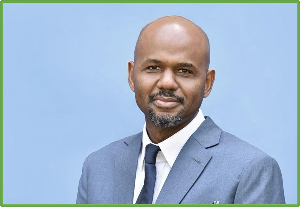 Thierno-Habib Hann, Managing Director 